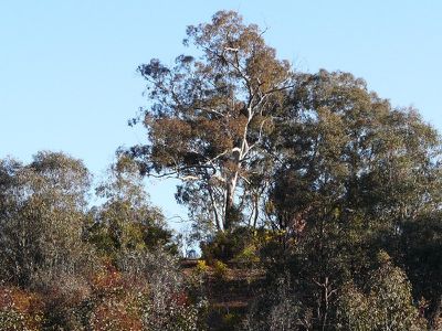 370 Quarry- Dookie Road, Dookie