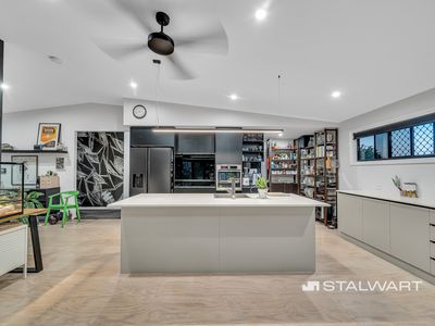 54 Dunstan Street, Moorooka