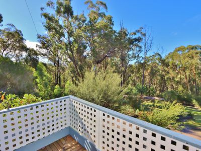 66 Nadgee Road, Wonboyn