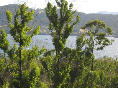 462 Esperance Coast Road, Brooks Bay