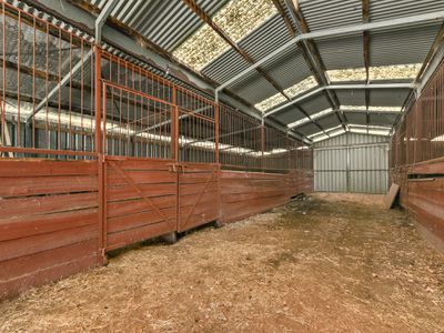 12 Ashfield Court, St Leonards