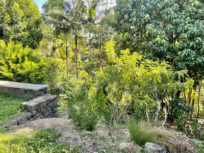 14-16 Nimbin Street, The Channon