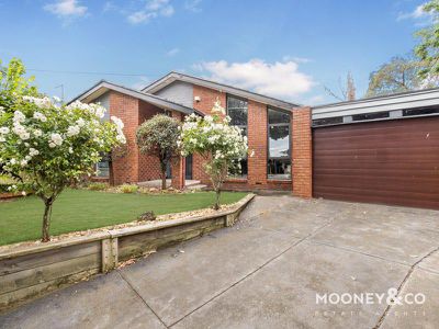 6 Rimfire Crescent, Cranbourne