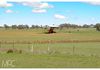 686 Vittoria Road, Millthorpe