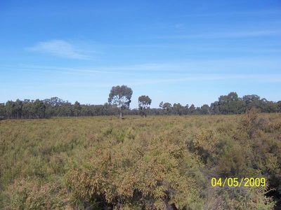 Willows Road, Murchison