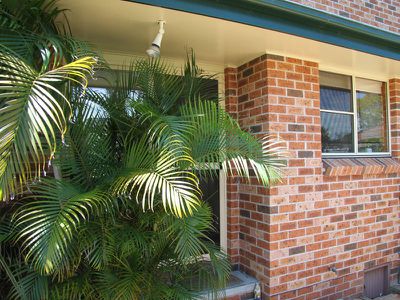 3 / 72 Wharf Street, Tuncurry