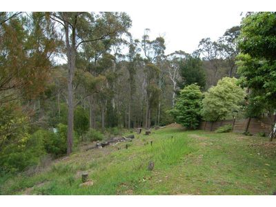7 Bellbird Court, Eden
