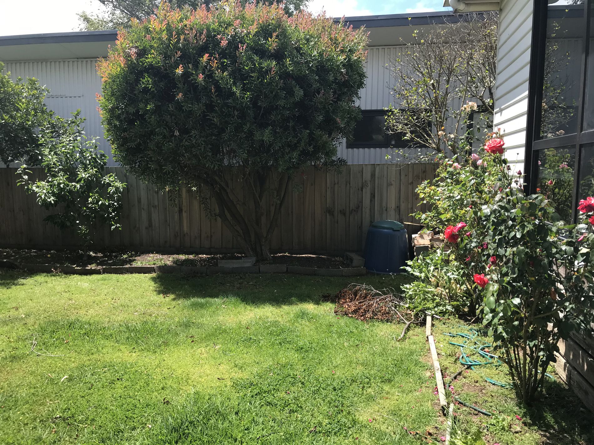 8 Araluen Parade, Belmont