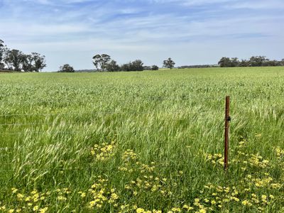 547 Bunmulling Road, Popanyinning