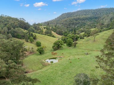 Lot 177 Kirbys Road, Obi Obi