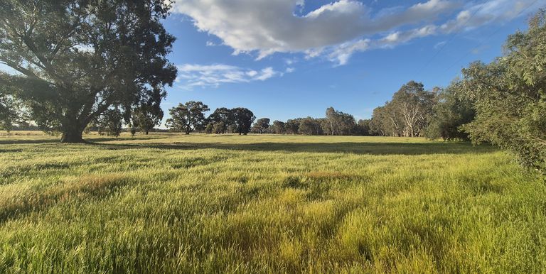 50 Ramage Road, Violet Town