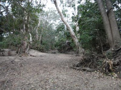 Lot 1, 1 Unnamed, Cooktown