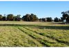 415 Davys Plains Road, Cudal