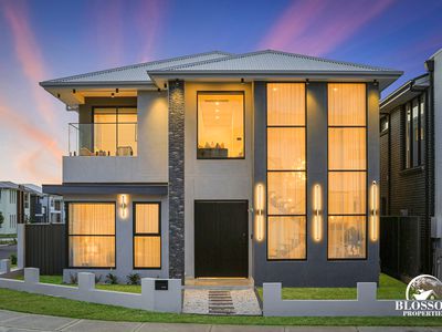 47  Feathertail Avenue, Marsden Park