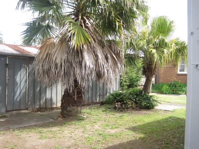 47 Benaud Crescent, Warilla