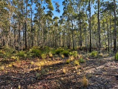 123 Lake View Road, Lake Leake
