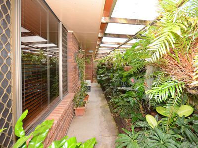 6 CORBET COURT, Pialba