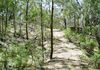828 Mount Aquila Road, Mount Aquila