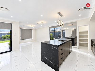 40 Hydrus Street, Austral