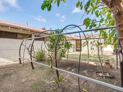 25 Moorpark Avenue, Yanchep