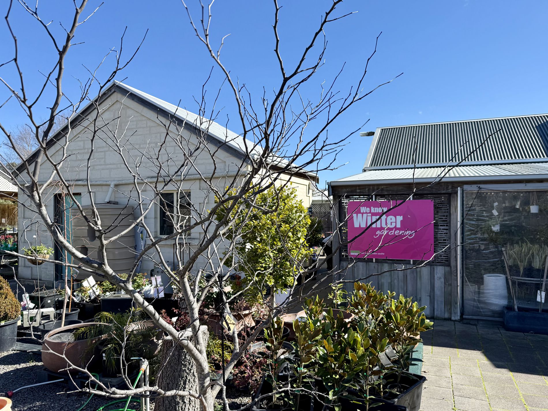 McCourts Garden Centre & McCourts Café, Millicent SA