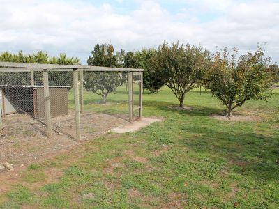 20 McCallum Rocky Camp, Millicent