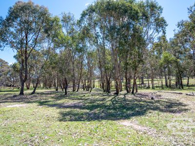 21 Torrington road , Torrington