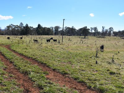 489 Inn Road, Ben Lomond