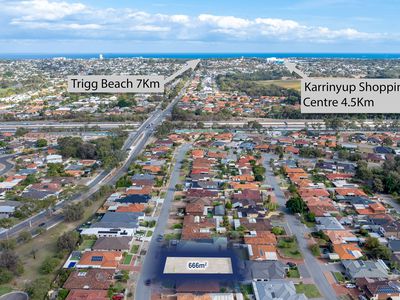 37 Grebe Street, Stirling