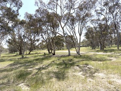 19 Penny Street, Kauring