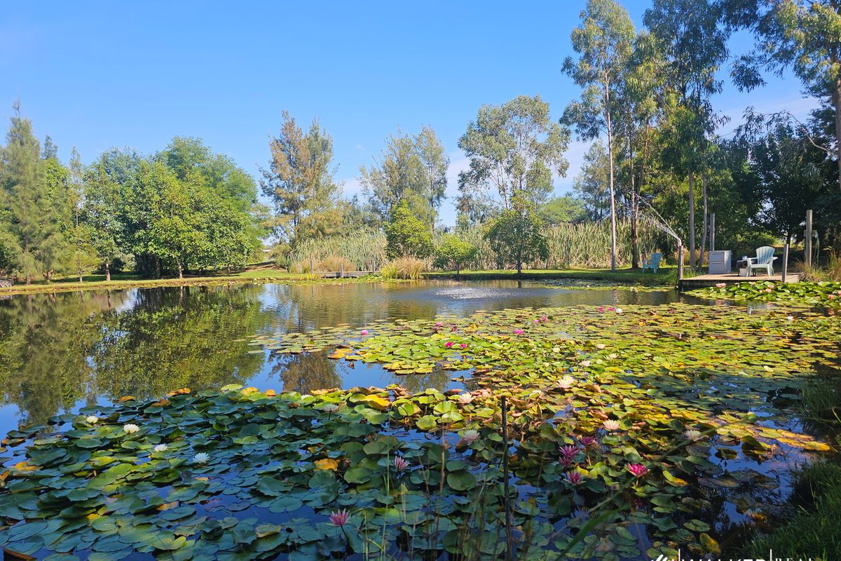 1367 Byrneside-Kyabram Road, Lancaster