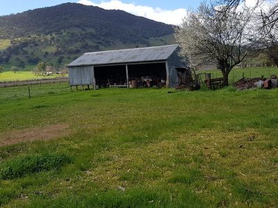 56 Tallangatta Creek Road, Tallangatta Valley