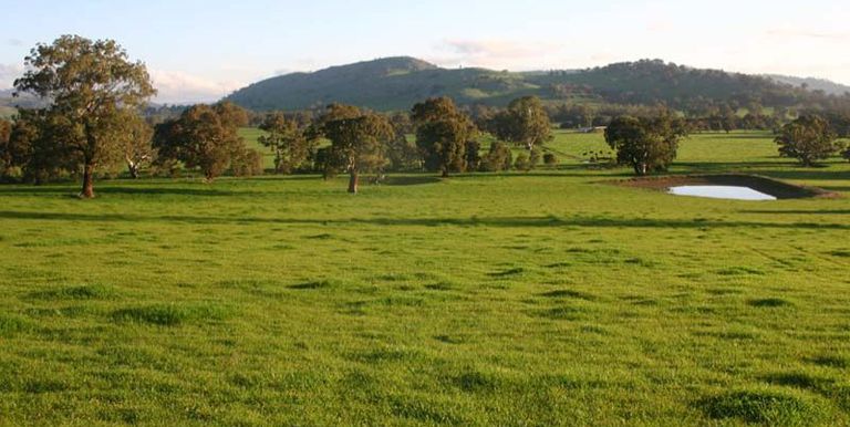 Sheans Creek Road, Euroa