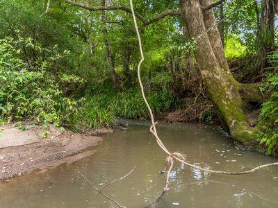 219 Stony Chute Road, Nimbin