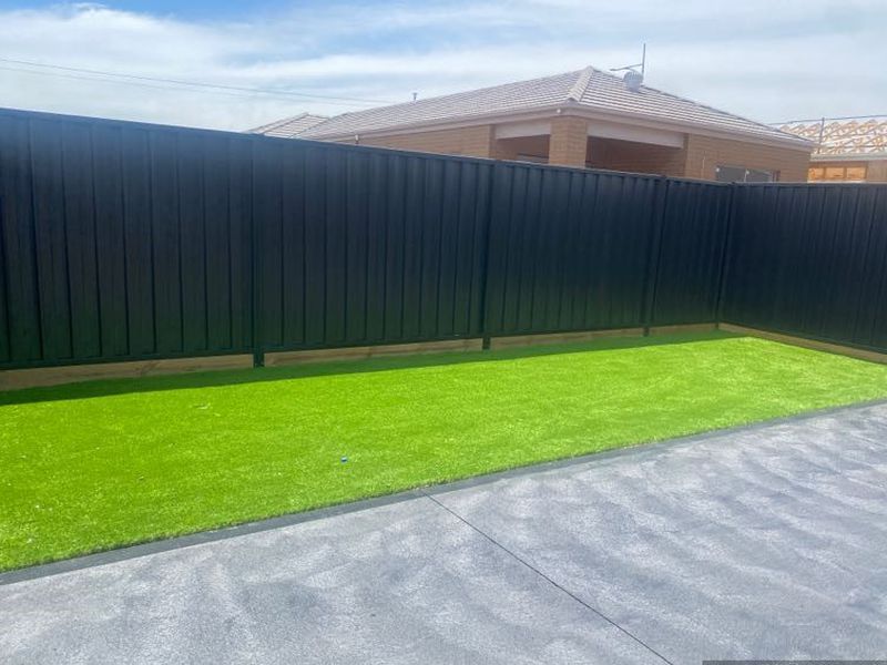 24 Rice Flower, Strathtulloh