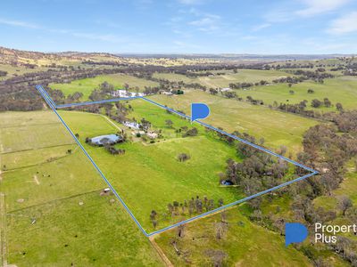 3932 Harmony Way, Harcourt North