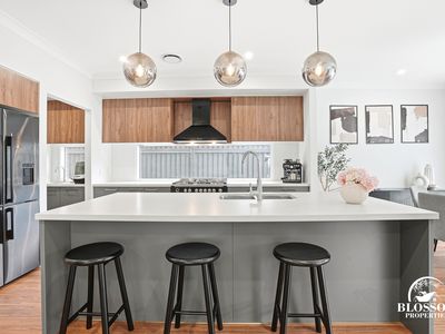 41 Opah Street, Marsden Park