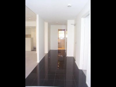 19 / 228 Moore Park Road, Paddington