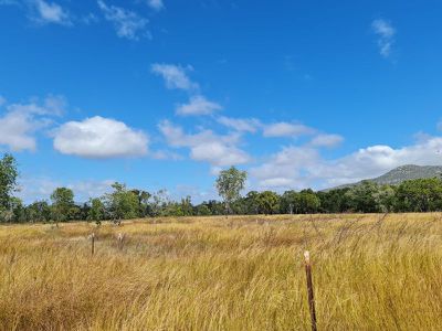 6835 Mulligan Highway, Mount Carbine