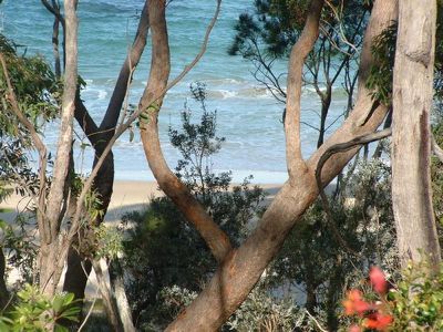 11 Holly Street, Bendalong