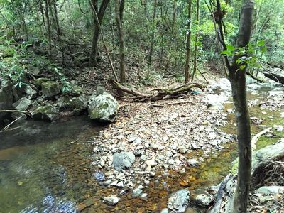 Lot 220 Comboyne Road, Byabarra