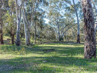 145 Kestel Road, Humbug Scrub