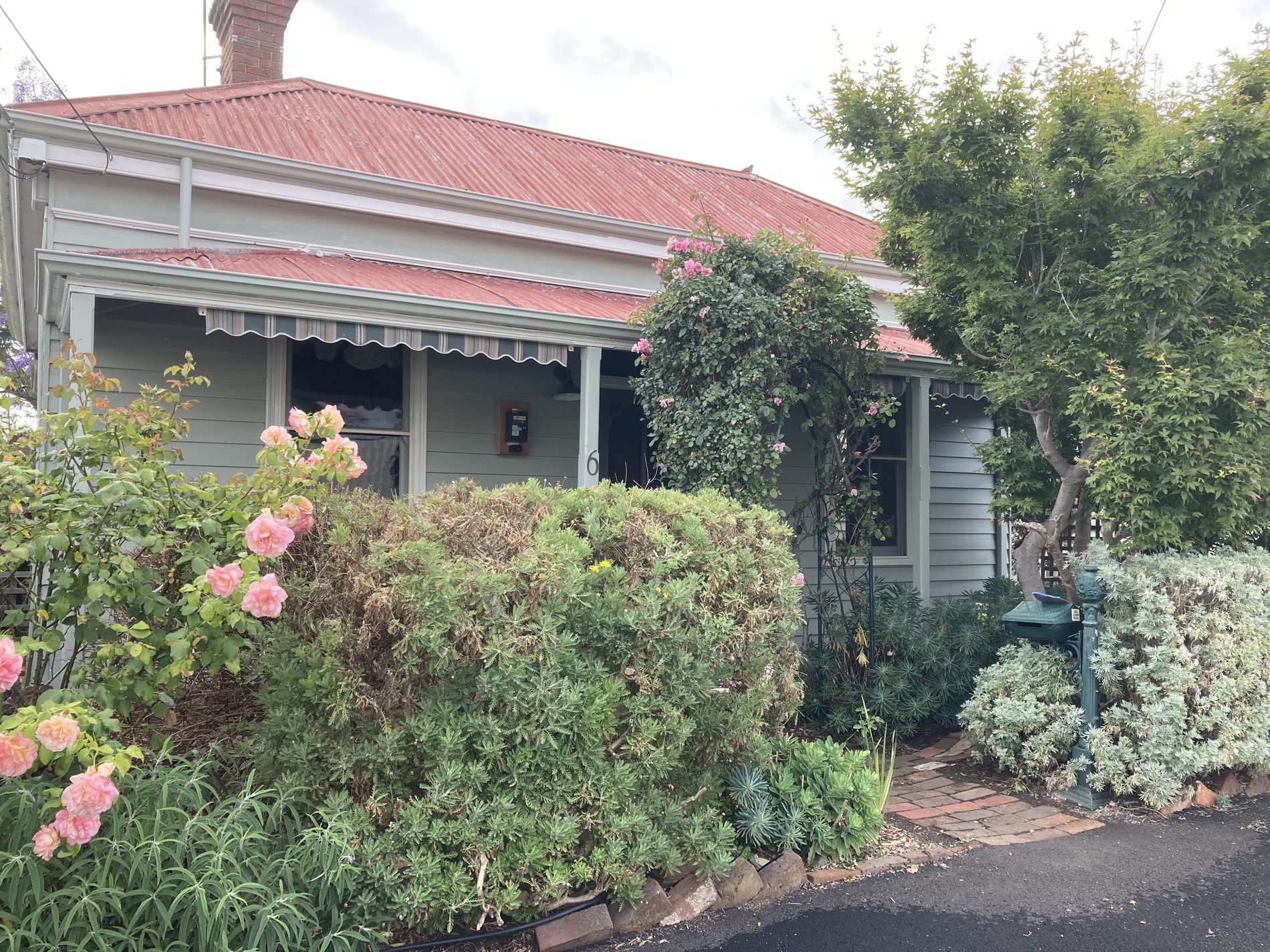 6 Tayler Street, Geelong West