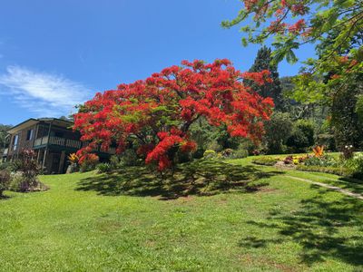 197 Palmwoods Road, Palmwoods