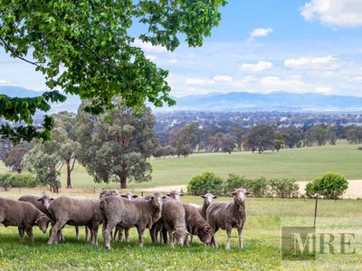 122 Magills Lane, Maindample