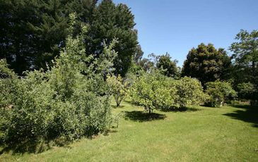 16 Salisbury Road, Beaconsfield Upper