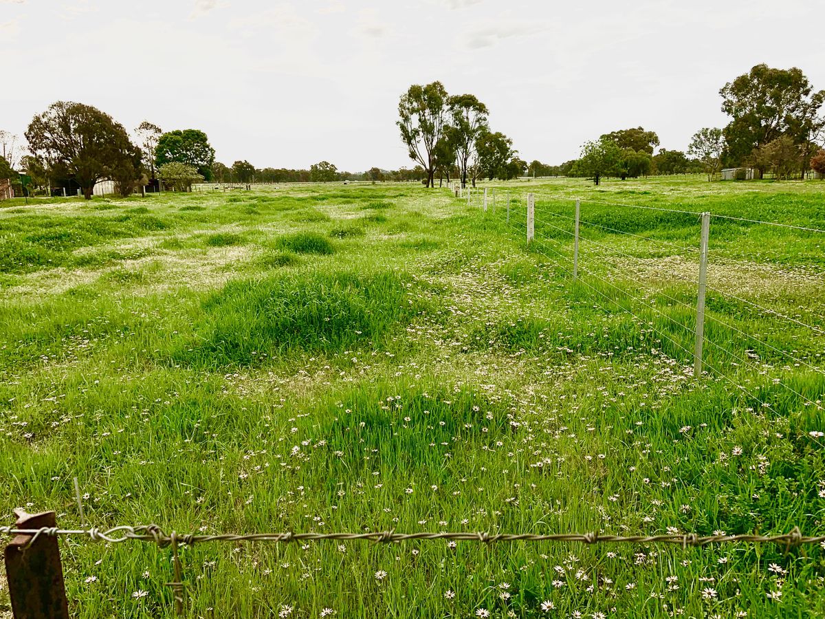 99 Winton/Glenrowan Road, Winton