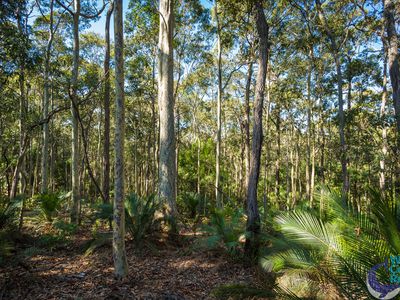 Lot 50, Woodlands drive, Narooma