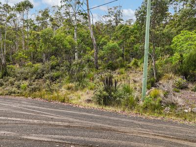 16 Brewis Place, Lake Leake