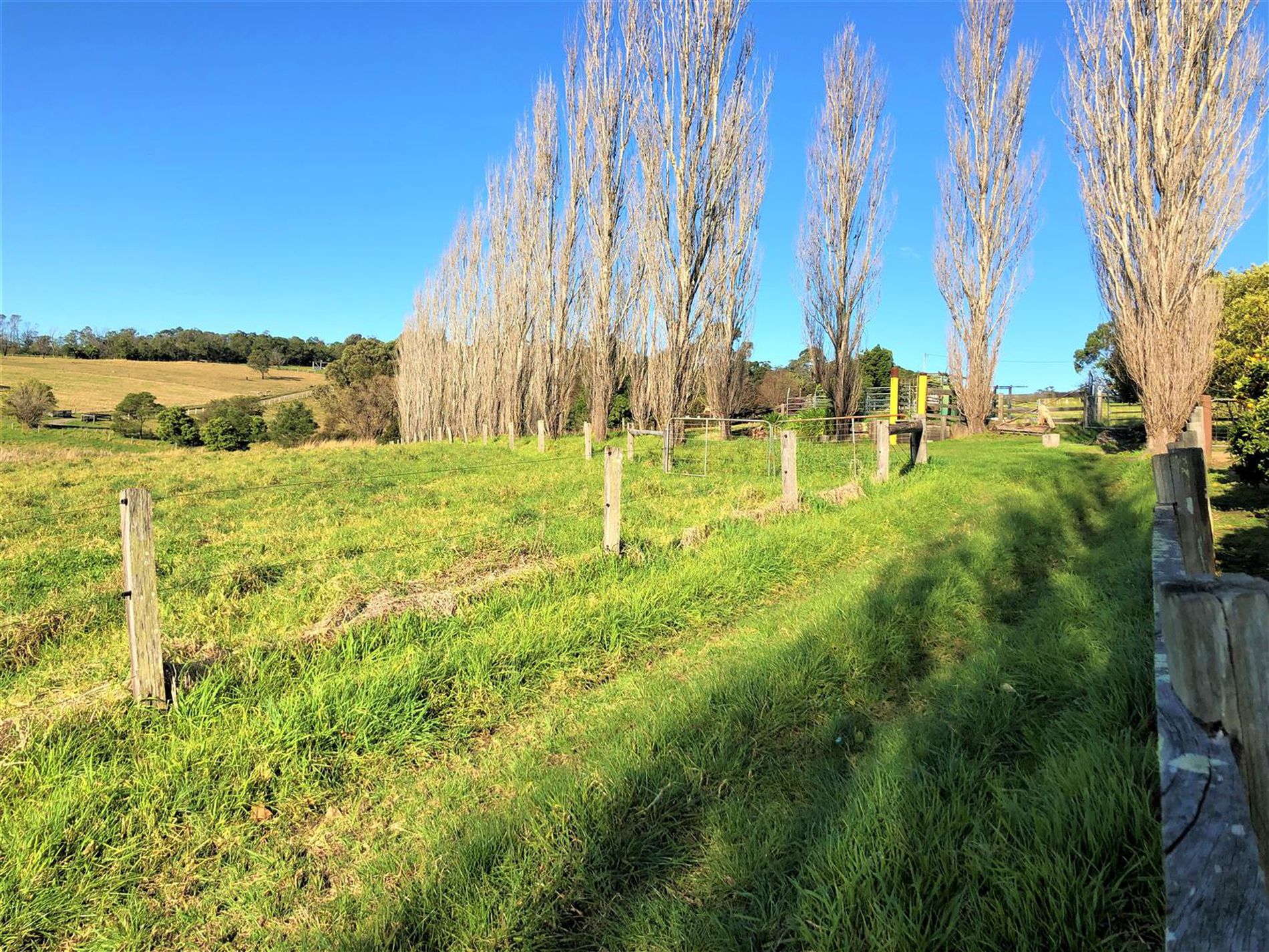 98 Wilfords Lane, Milton